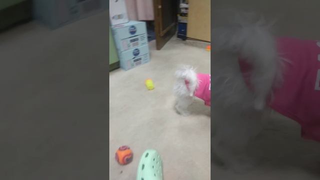 21 February 2024 смотреть онлайн