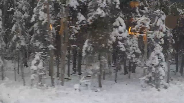 Обзор ретро поезда Москва - Рускеала. Путешествие в Карелию в Горный парк Рускеала. смотреть онлайн