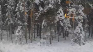 Обзор ретро поезда Москва - Рускеала.  Путешествие в Карелию в Горный парк Рускеала.