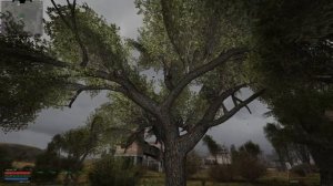 ОП-2.2.  Тайники Коллекционера в Темной Долине