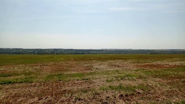 Поле Куликово: в центре места битвы "меж полков"... смотреть онлайн