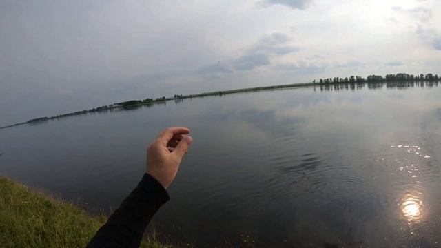 Как поймать тертого калача. Дневник-03 августа 2021 смотреть онлайн