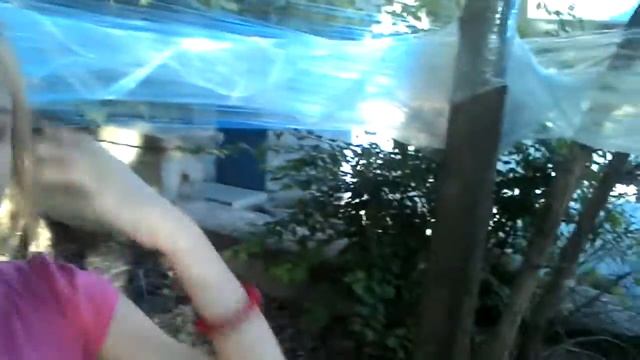 Делаем домик из пленки на дереве смотреть онлайн