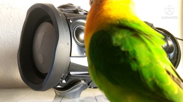 jbl Xtreme 2 bass test vs parrot SUS........ ?? смотреть онлайн