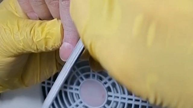 Короткие ногти, однотон. смотреть онлайн