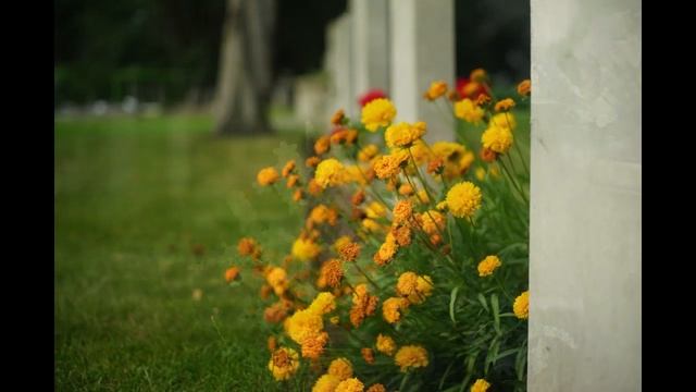 My Five Best Russian Rangefinder Lenses For Mirrorless Cameras смотреть онлайн