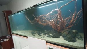 Как настроить перелив Херби. Быстрая настройка самого тихого перелива в аквариуме.