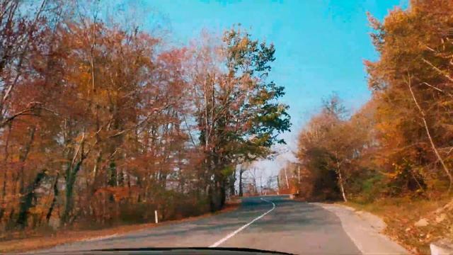 Сочи в ноябре. Дорога от Хосты до Красной Воли смотреть онлайн