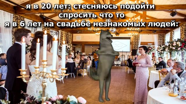 ИХВИЛЬНИХТ сборник мемов ЧАСТЬ 4 #ихвильнихт #тренды #танецволка #2023 #ichwillnicht #trending смотреть онлайн