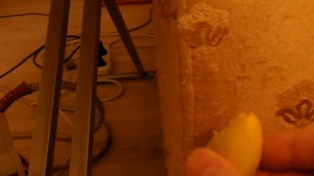 Как отучить кота или кошку драть мебель. смотреть онлайн