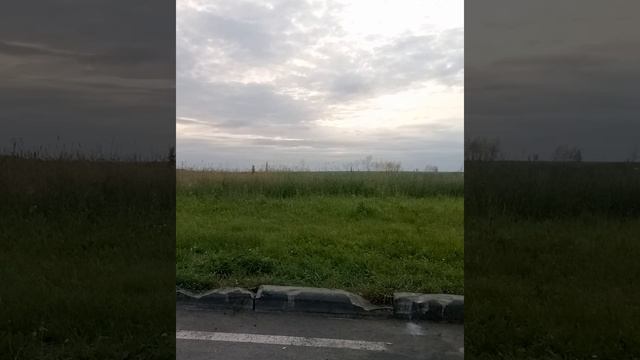 Дальнобойщик.Берпи и... .День 24-25 смотреть онлайн