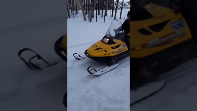 Warming Up A 2004 Ski Doo Skandic