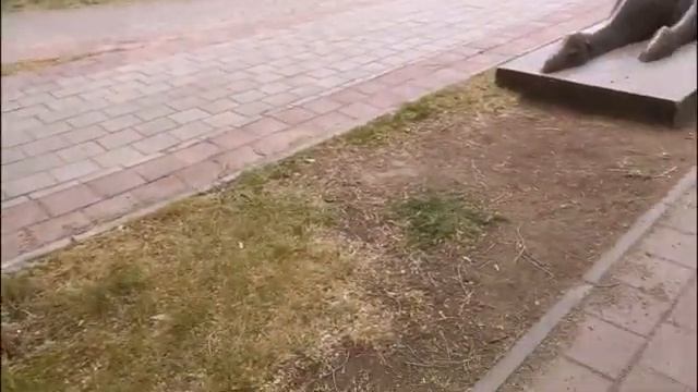 Утренняя прогулка/Степной - Гульдер/Караганда