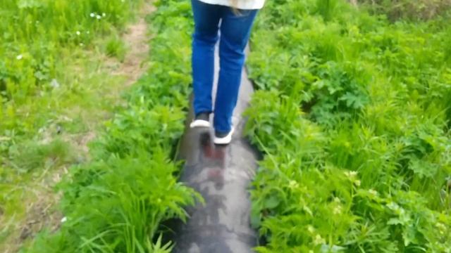 ПРОГУЛКА ПЕРЕД СНОМ![official Video]@Dayanatv2022