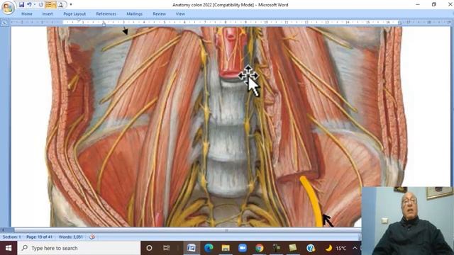 Anatomy GIT Module in Arabic 39 ( Ascending colon ) , by Dr, Wahdan смотреть онлайн