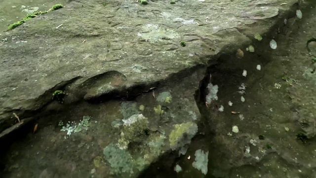 Секретное место для прогулки в Туапсинском районе, доехали до него, т.к. Таштай так и не покорился смотреть онлайн