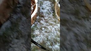 Самодельный иловый насос.