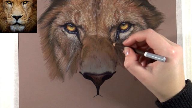 How to draw LION fur with PASTEL pencils - Which colors to choose? | REAL TIME смотреть онлайн