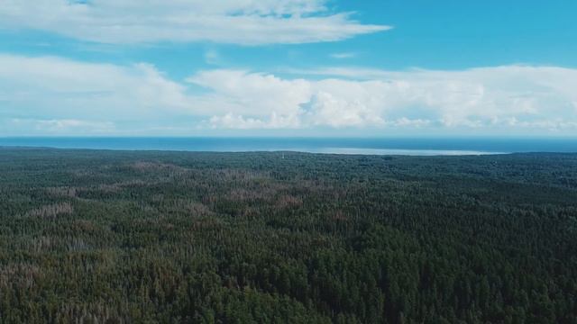 линдуловская роща съемка с дрона смотреть онлайн