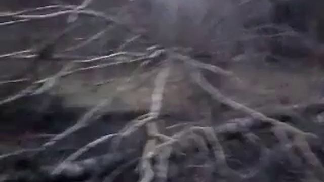 СКОРОСТЬ ВЕТРА 20-25 М/С смотреть онлайн