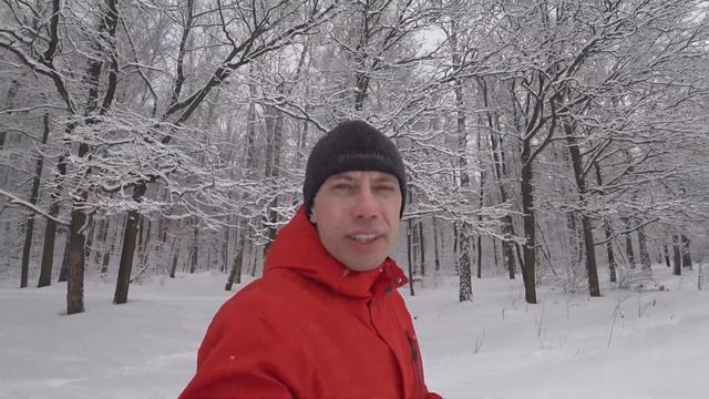 Яблоки на снегу. Два года с Гектором. смотреть онлайн