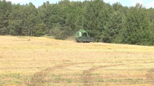 Жатва-2017: валищенские хлеборобы одни из первых в Пинском районе