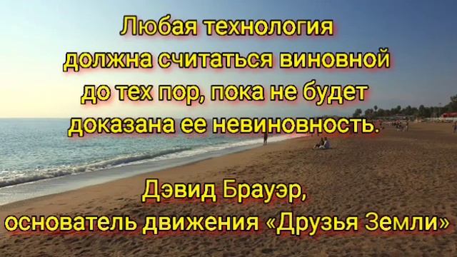 цитаты про экологию. смотреть онлайн