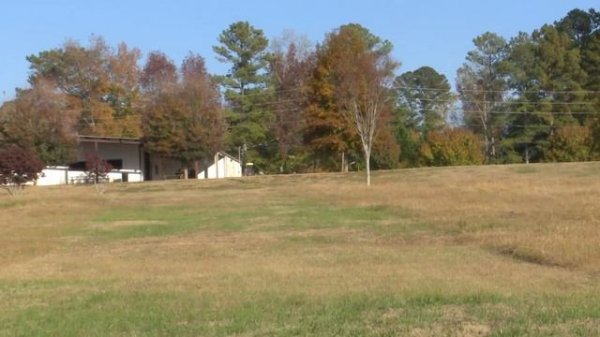 Kyle Klein Midnight Prowl 2 | 2 Minute Review