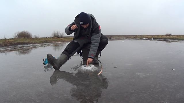 Ловля окуня на безмотылку. Первый лёд всё тоньше смотреть онлайн