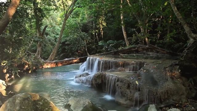 Лесной водопад для телевизора и монитора (HD) смотреть онлайн