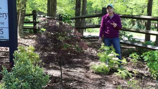 Entrance Flower Bed Spring Makeover | Gardening with Creekside смотреть онлайн