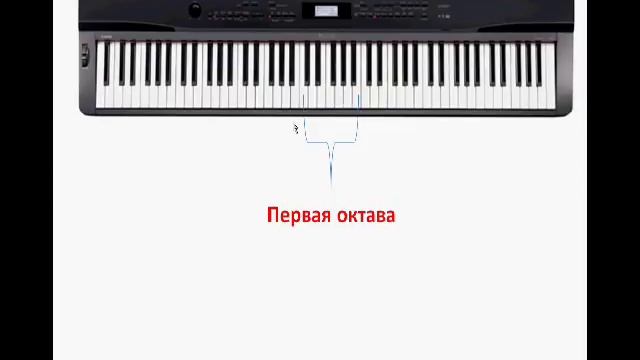 Нотная грамота для начинающих. Урок 1 смотреть онлайн