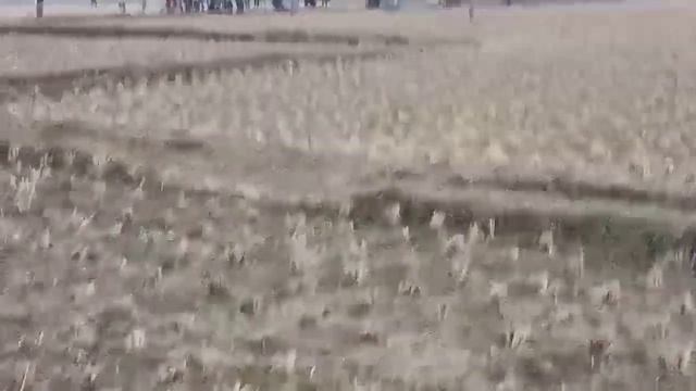 Beautiful Place Of Rangpur,Bangladesh/Nilakash смотреть онлайн