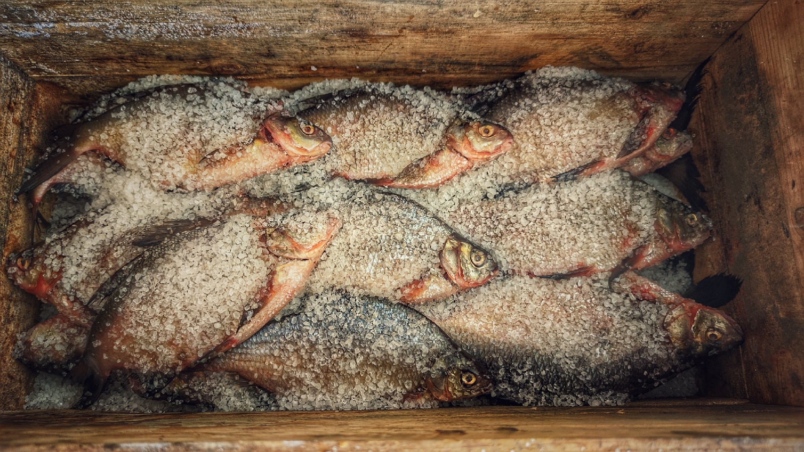 Илья Лебеденко