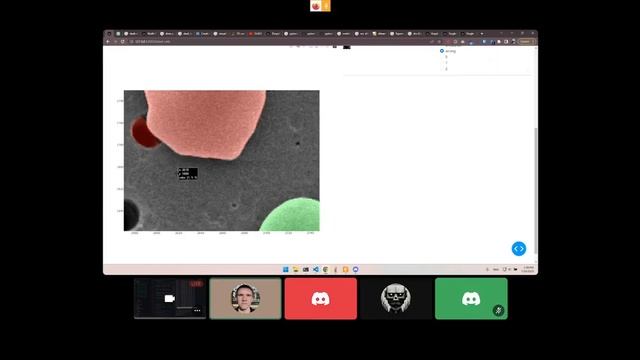 Random Code 30.07.2023. Cell Segmentation. Part 3|Improving Image Recognition with Sam, Metric Lear смотреть онлайн