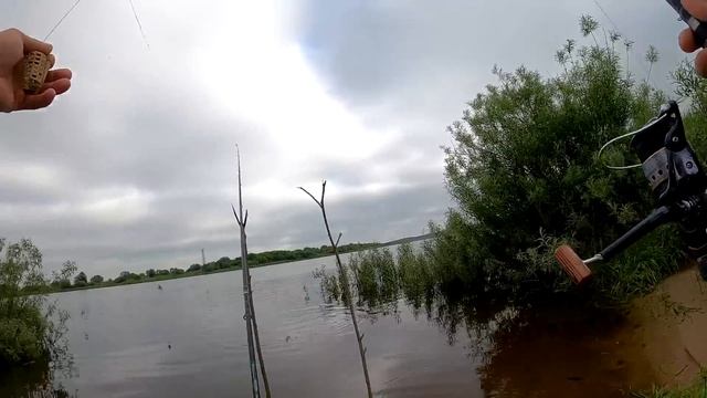 Рыбалка на ФИДЕР ИЮНЬ!!! Река Неман!!! смотреть онлайн