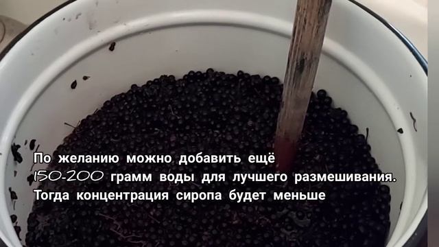 Чёрная бузина // сироп из бузины