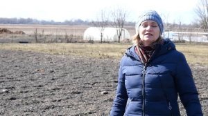 Весенние работы на даче и огороде. Что делать весной в саду?