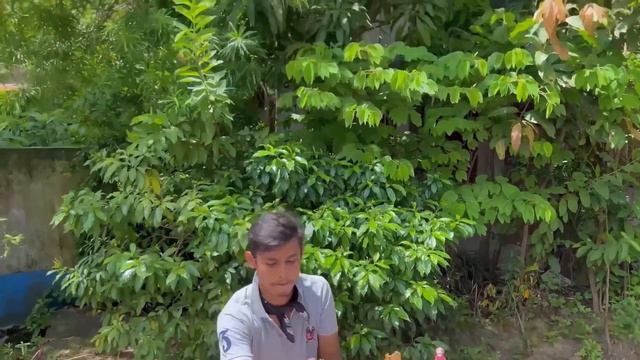 BONG CHOR 2 || BONG JOKERS || PRAKASH || SLOW || GRAY || IVY || ANOY || TUHIN || 2022 смотреть онлайн
