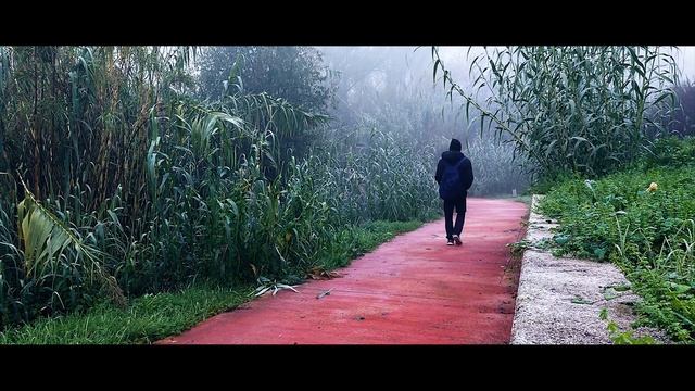 University of Cassino and Southern Lazio, ITALY | By MrGumpula | EP 001 смотреть онлайн