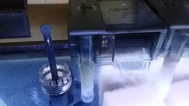 Update: AquaClear w/protein skimmer added. Plus: 20 & 50 = 200!? смотреть онлайн