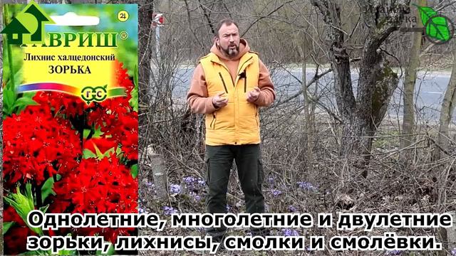 ЭТОТ ЦВЕТОК ЕЩЕ МОЩНЕЕ БАРХАТЦЕВ! Посадите его и забудете о болезнях и вредителях в саду и огороде. смотреть онлайн