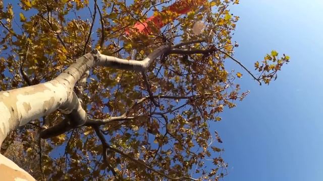 Мать бросила сына мучиться в глухой деревне, не думая что с ним случится вскоре