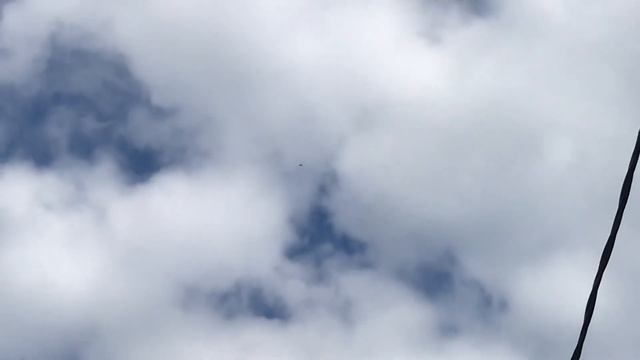 Делаем перемены чтобы голуби Балдели смотреть онлайн