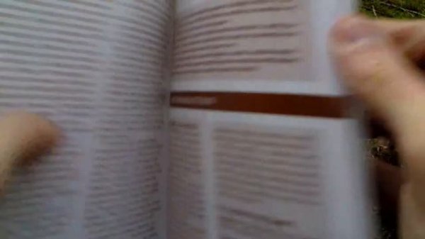 Wizard's Crown Unboxing (PC) ENGLISH