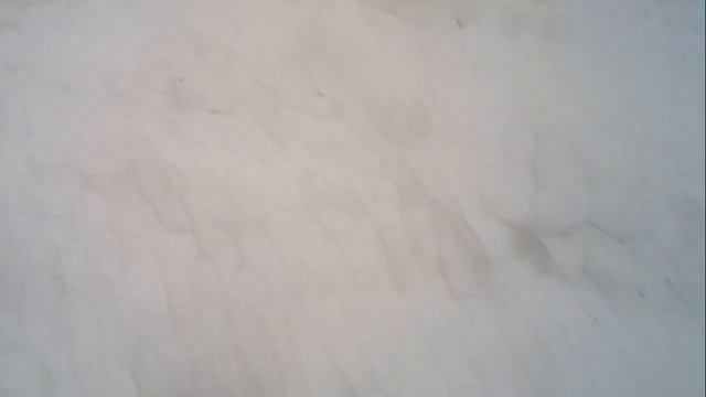 Наливной пол Eco Nivelir от ТД "МАГМА" Часть 2\7 смотреть онлайн