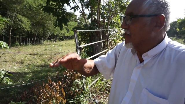 Agrimensor Pedro Recci explica importancia del conector 187 para Loíza смотреть онлайн