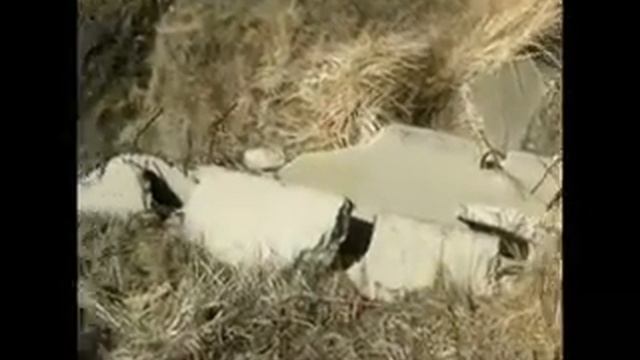 Разрушенные очистные сооружения смотреть онлайн