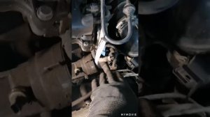 Ситроен с4 течь масла. Устраняем течи. Замена прокладок теплообменника.