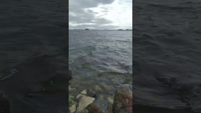 санкт-петербург Кронштадт зона отдыха. смотреть онлайн